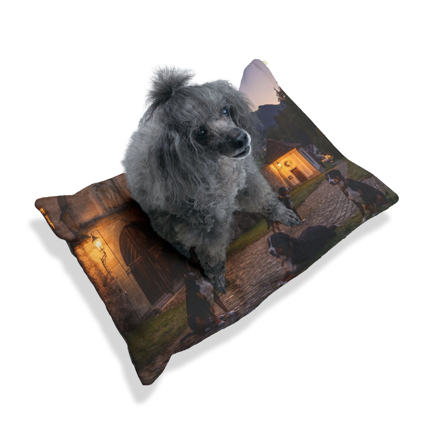 Sennenhund Pet Bed