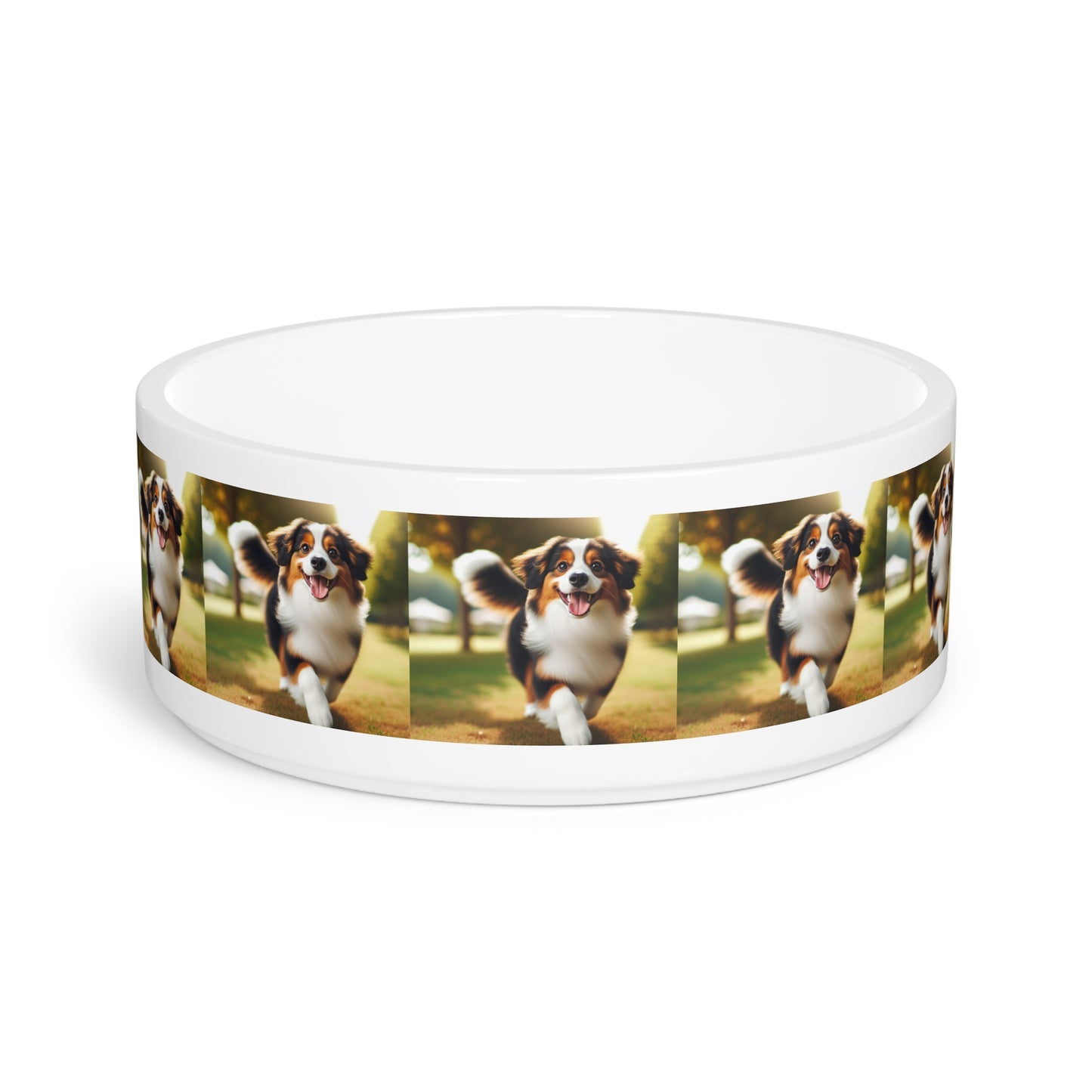 Gamelle pour chien de berger américain miniature