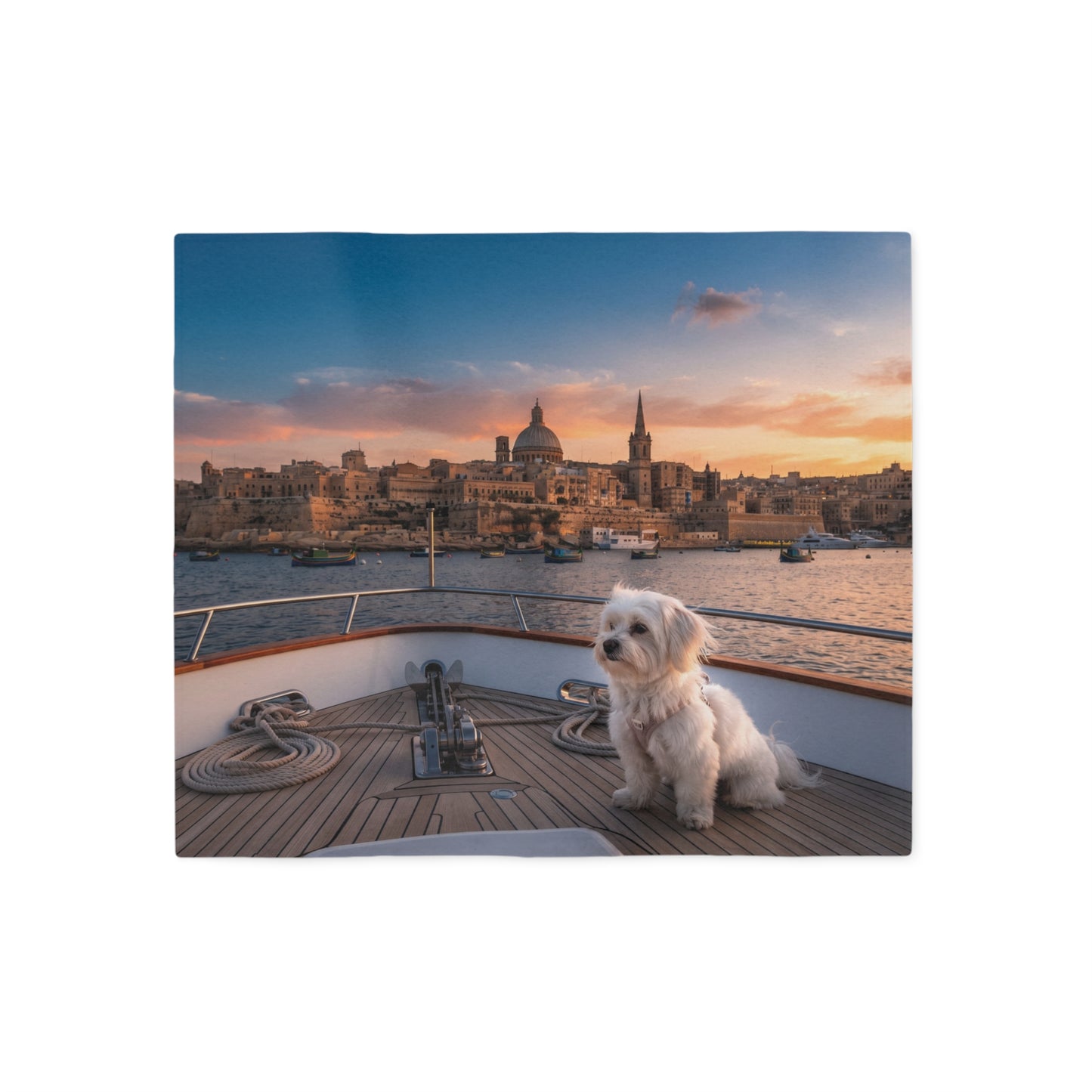 Maltese Blanket