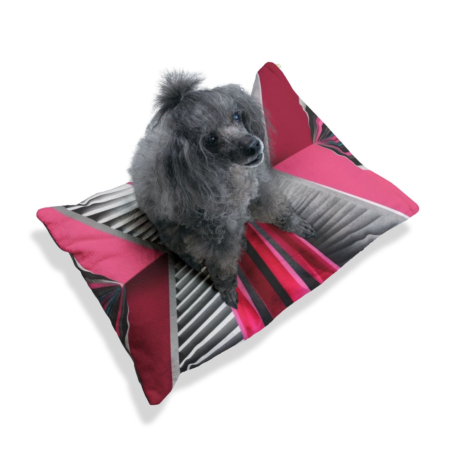 Optical Illusion Pet Bed