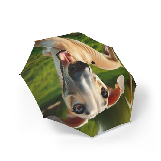 Sloughi Semi-Automatic Foldable Umbrella