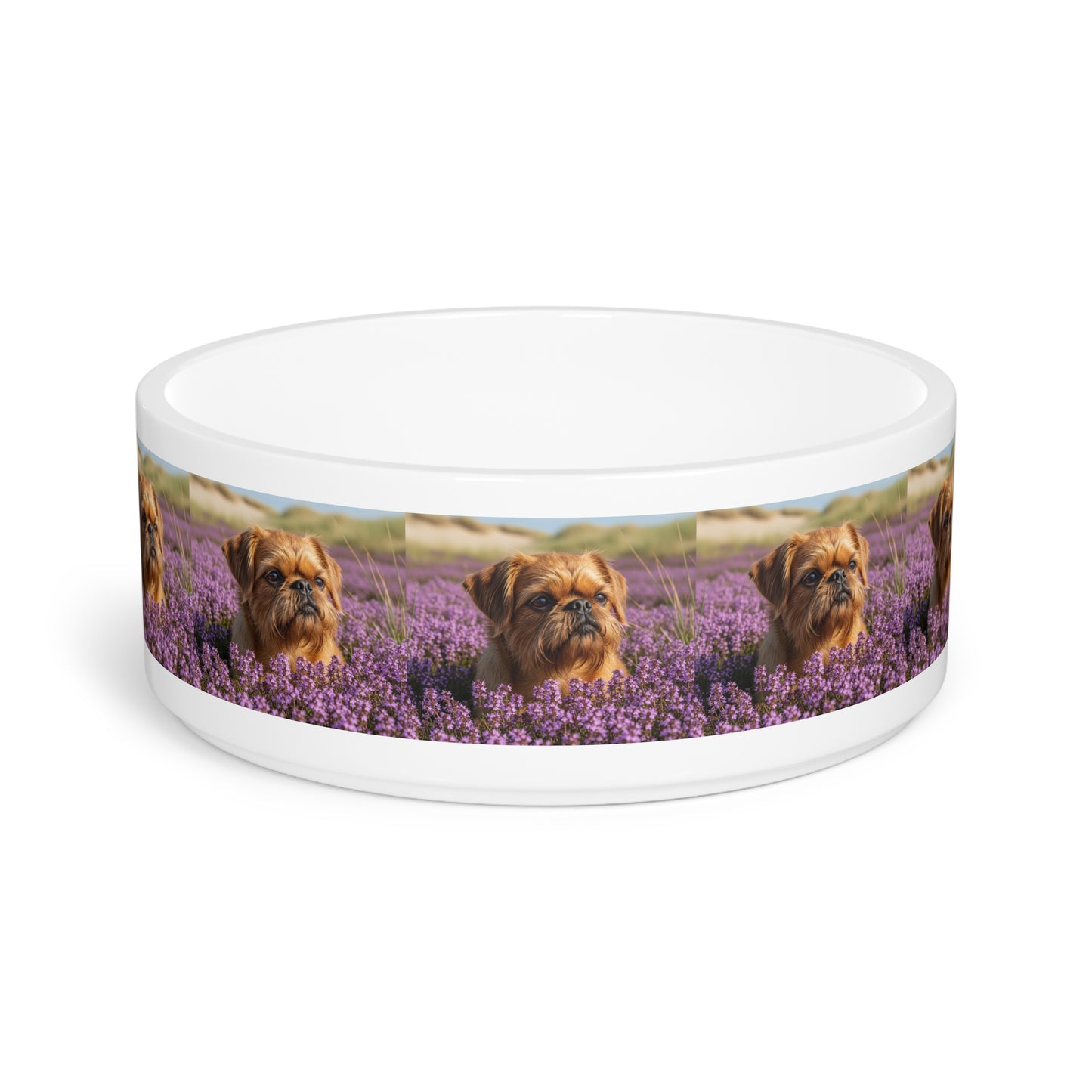 Comedero para mascotas Griffon Bruxellois
