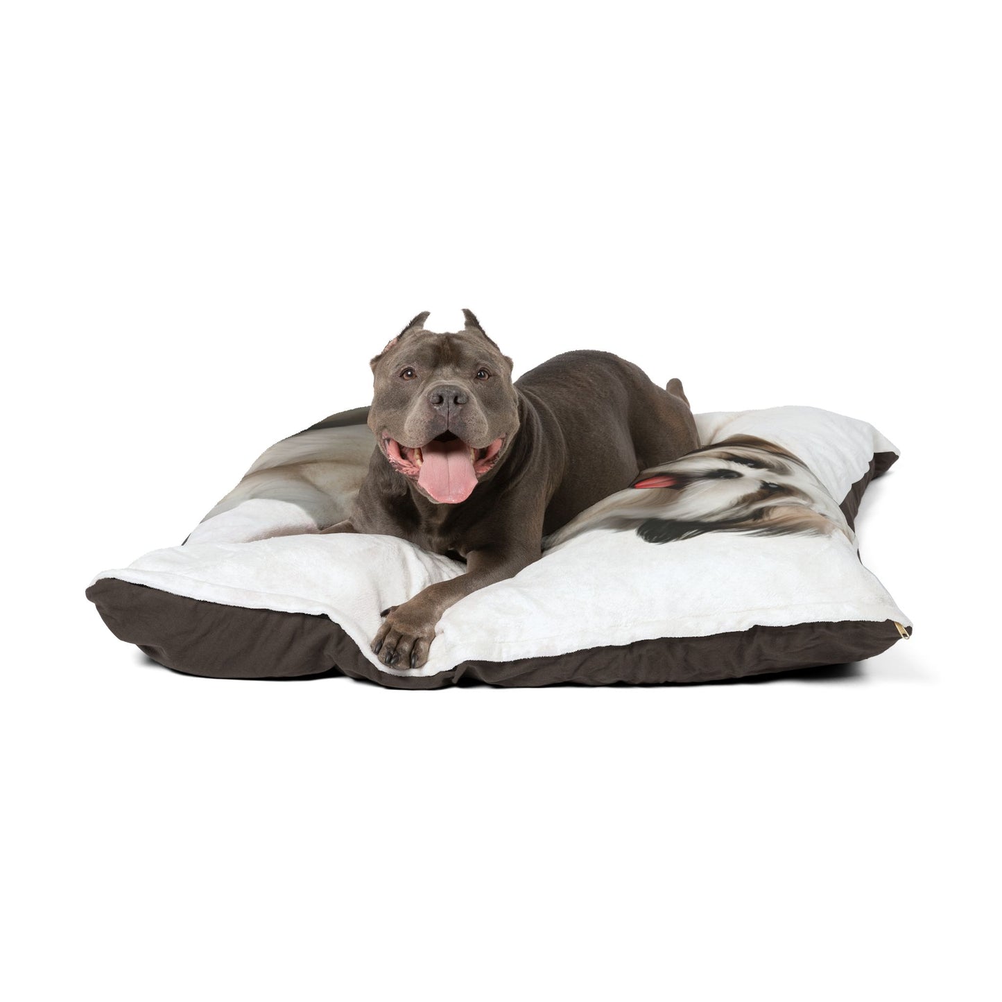 Cama para mascotas Shihchon