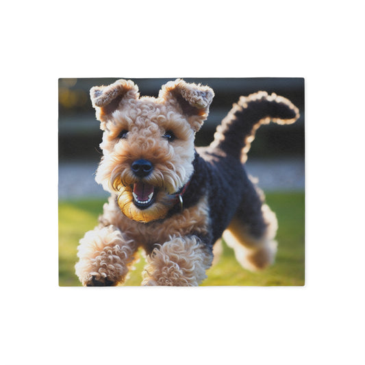 Lakeland Terrier Sweatshirt Blanket
