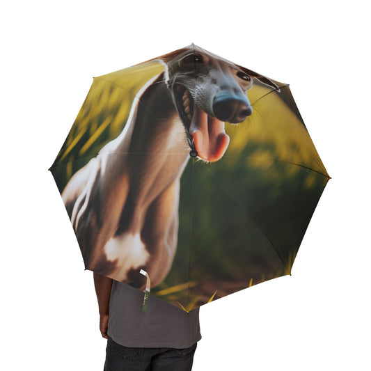 Greyhound Semi-Automatic Foldable Umbrella