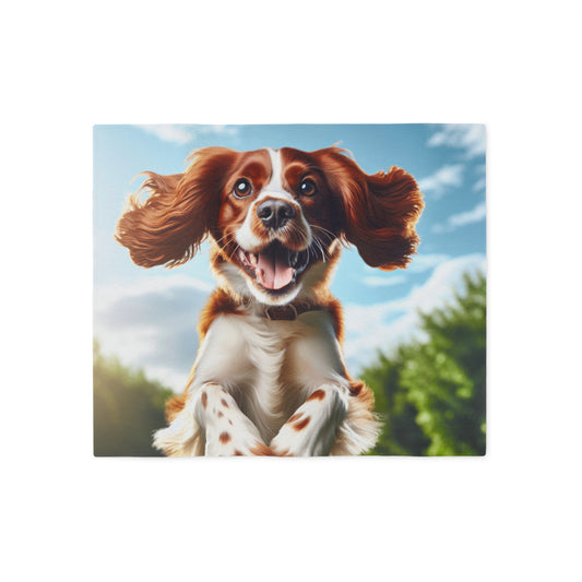 Welsh Springer Spaniel Sweatshirt Blanket