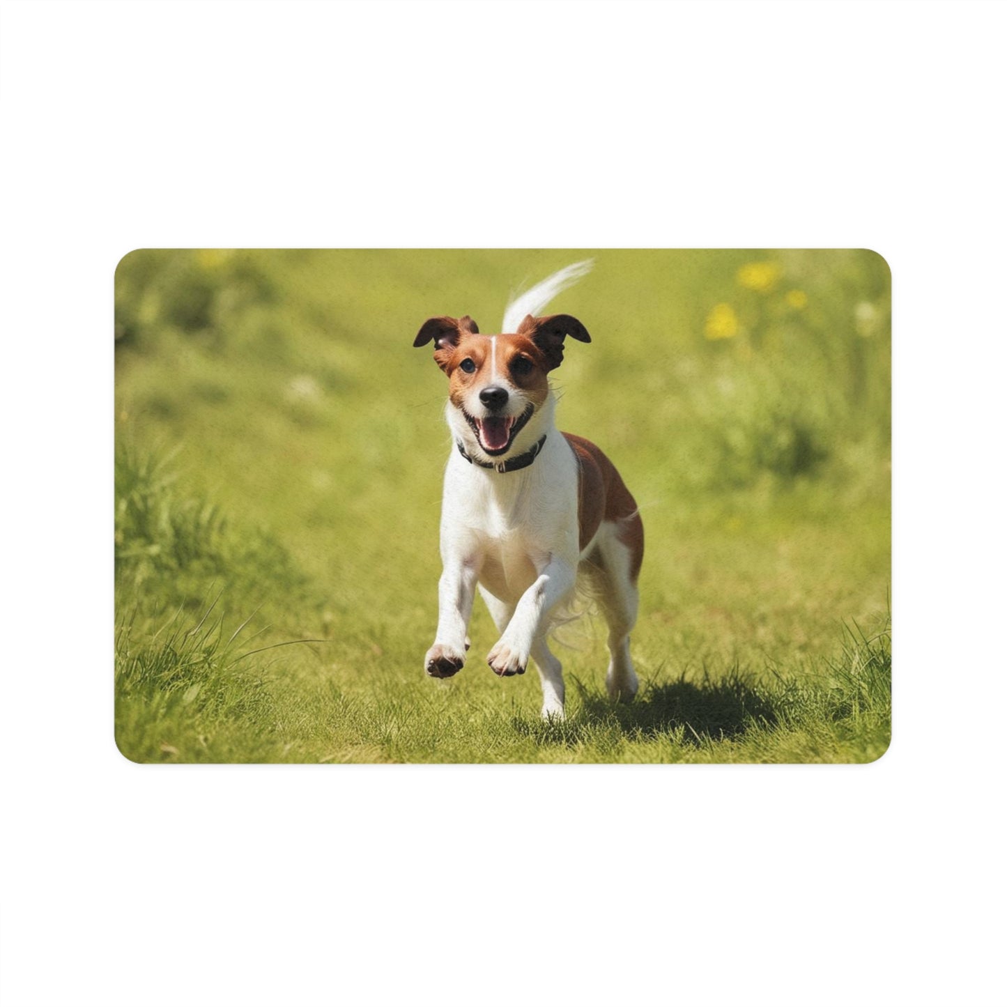 Pet Food Mat (12x18) - Harrier