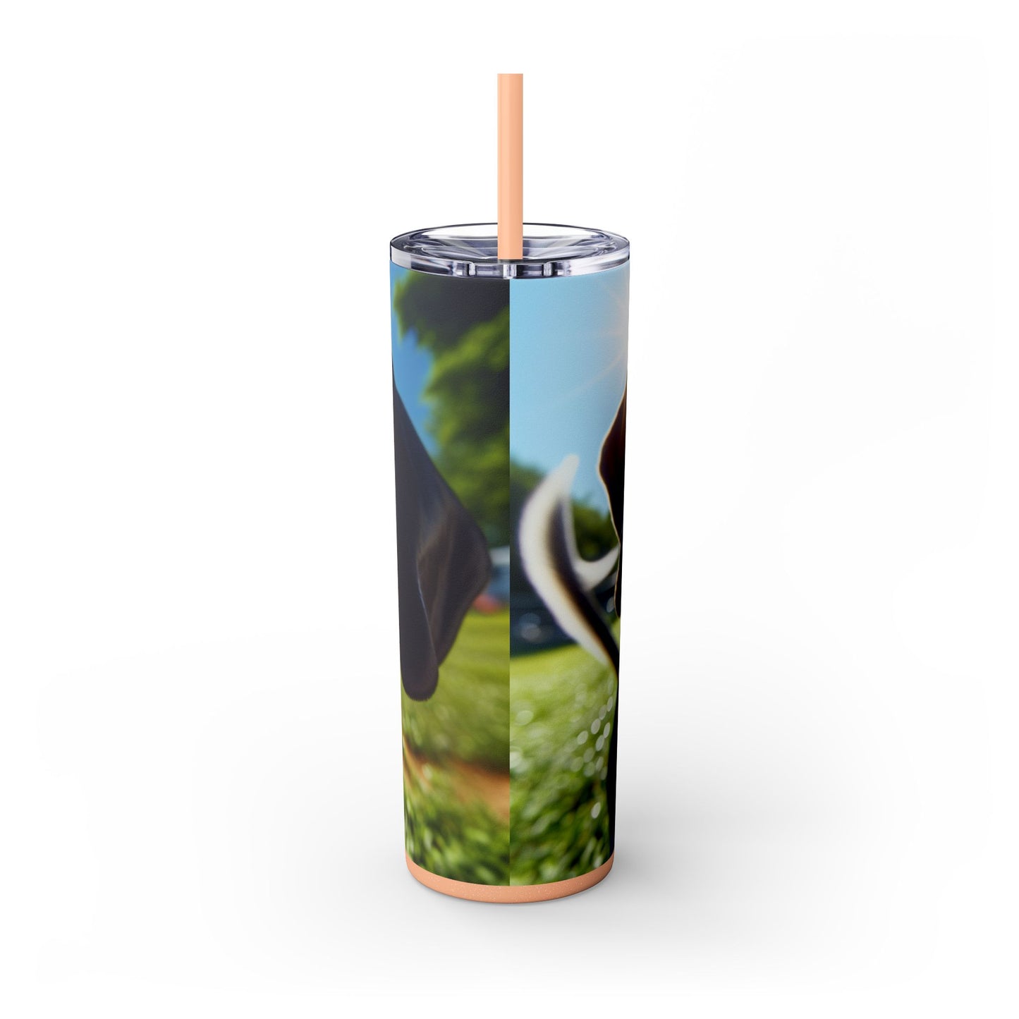Bluetick Coonhound Tumbler with Straw, 20oz