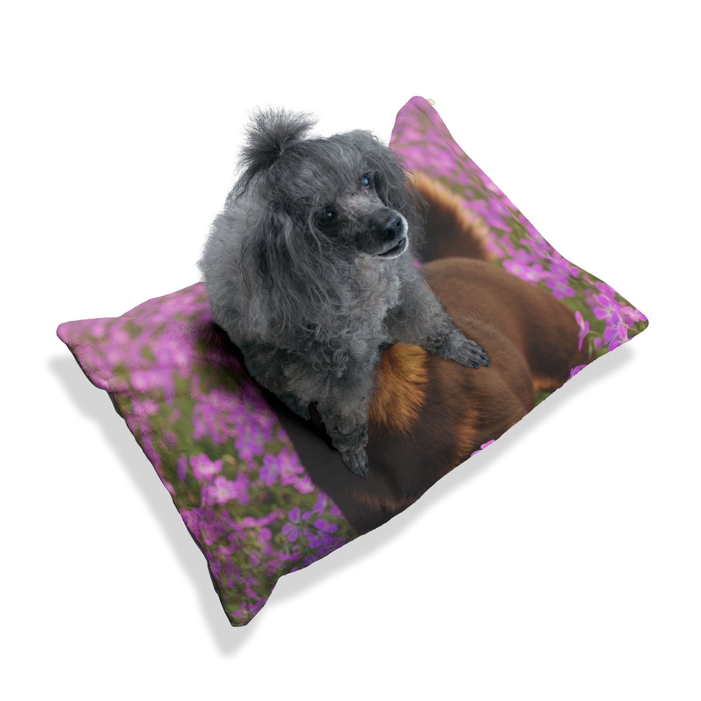 Cadabomb Okami Pet Bed