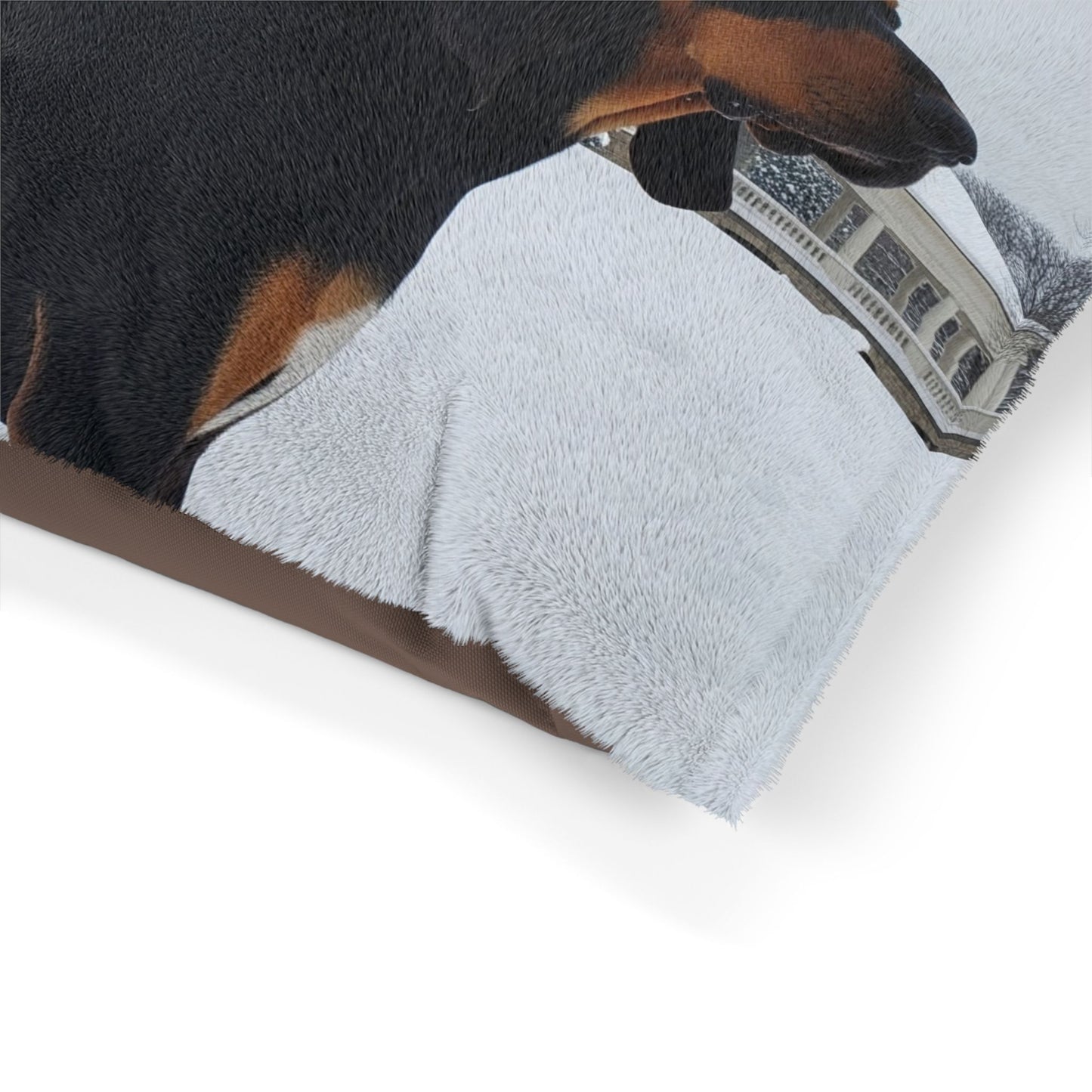 Black and Tan Hound Pet Bed