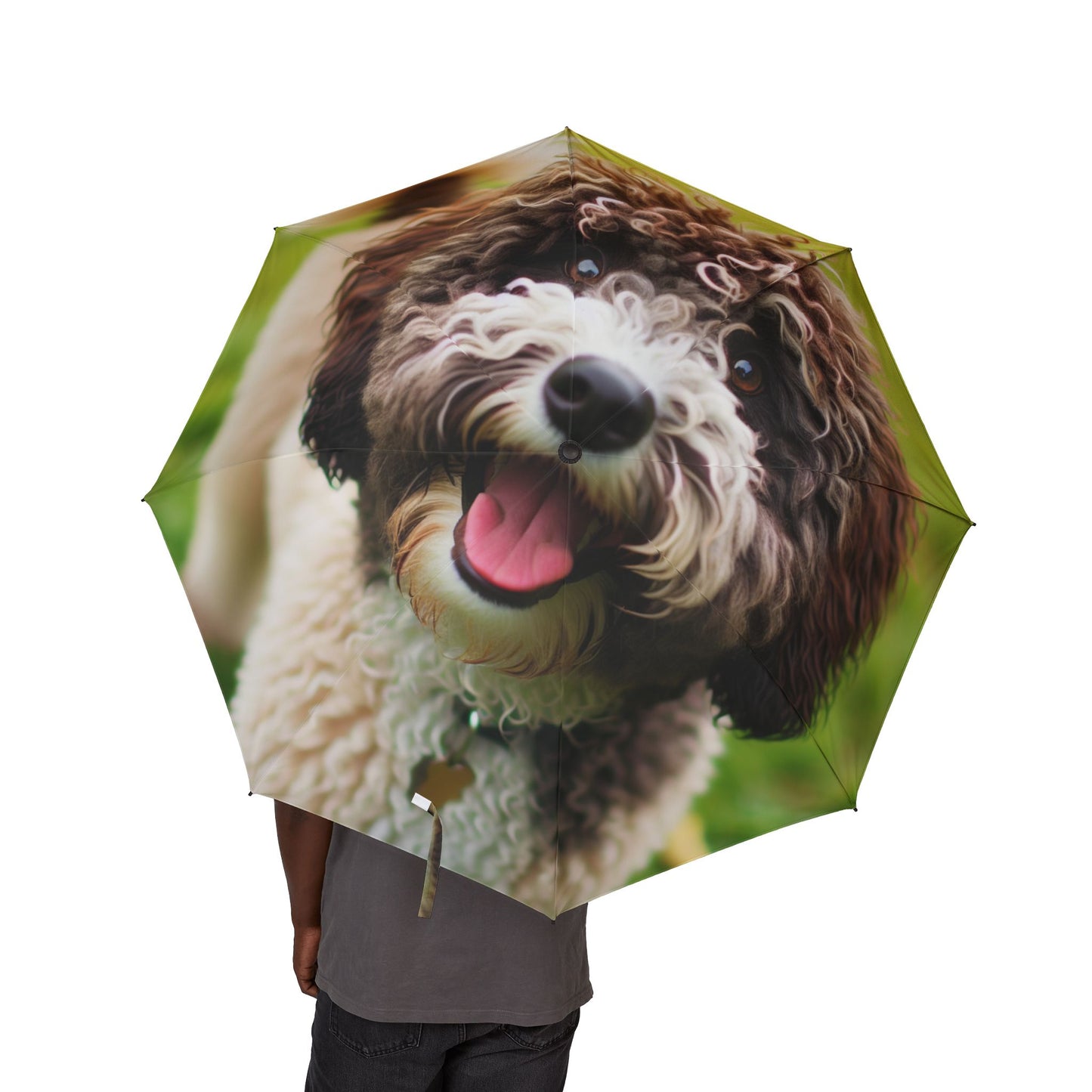 Spanish Water Dog Semi-Automatic Foldable Umbrella
