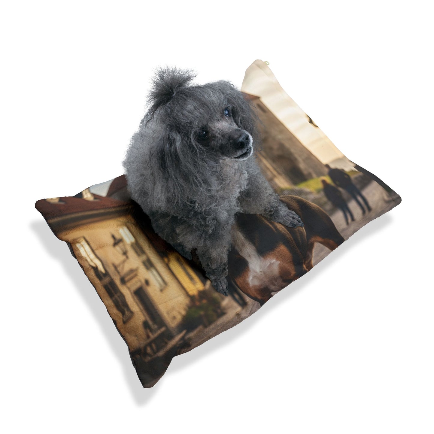 Hamiltonstövare Pet Bed