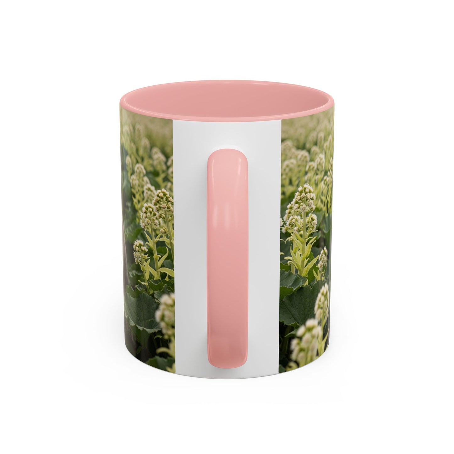 Mug à café avec motif Schnauzer standard - Cadeau idéal pour les amoureux des chiens