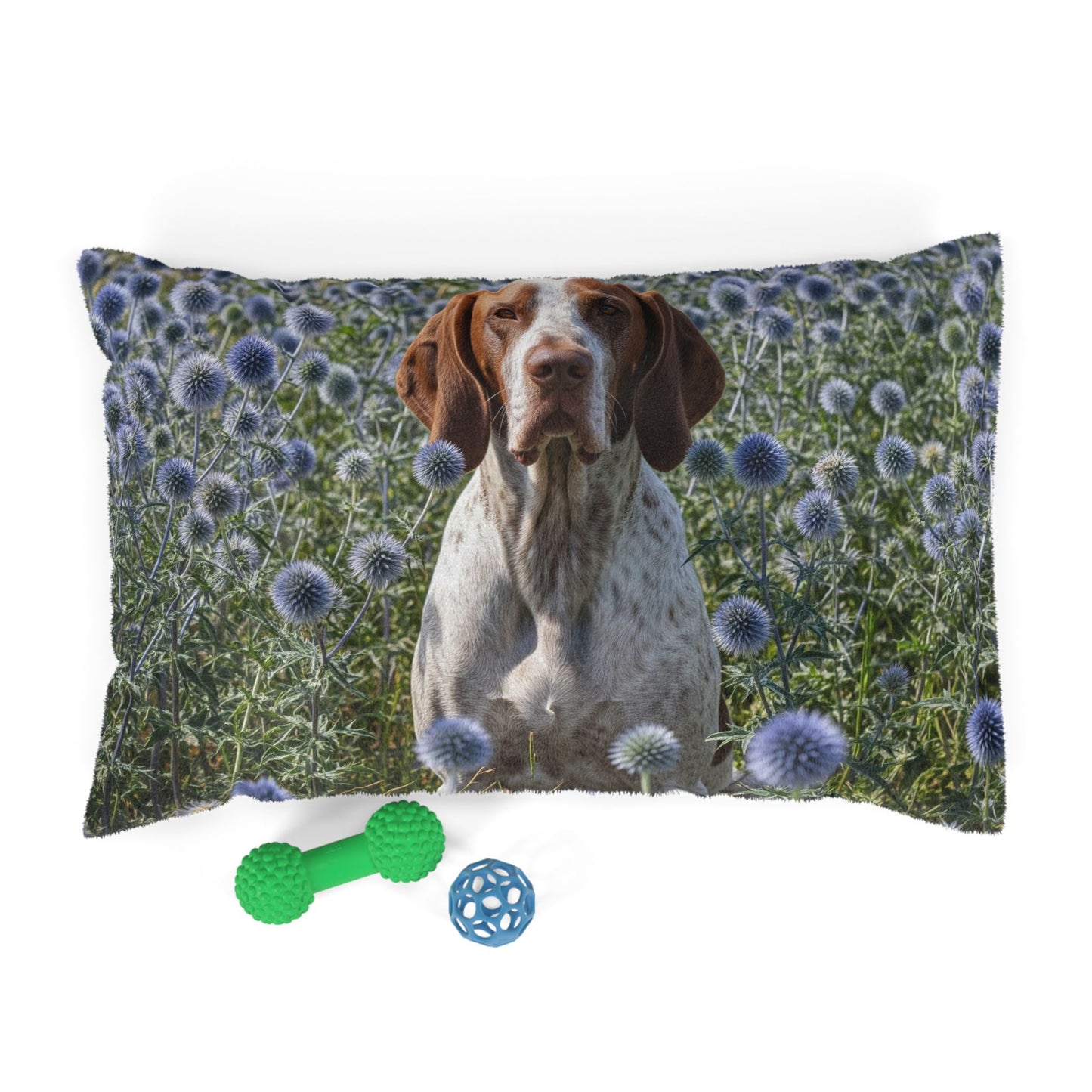 Braque Francais Pyrenean Pet Bed