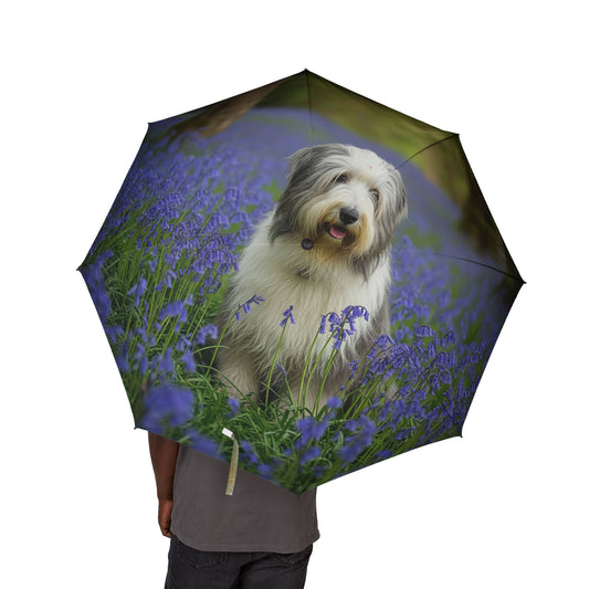 Bearded Collie Semi-Automatic Foldable Umbrella