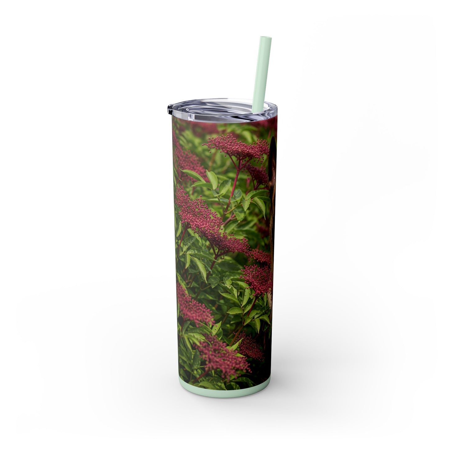 Belgian Shepherd Dog Malinois Tumbler with Straw, 20oz