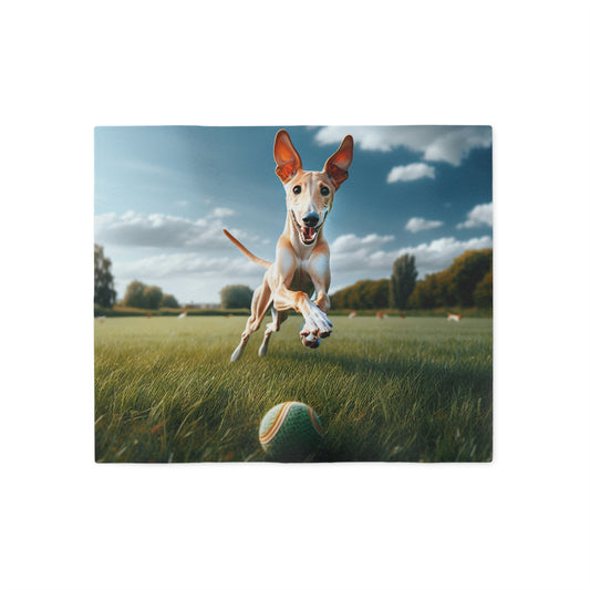 Ibizan Hound Sweatshirt Blanket