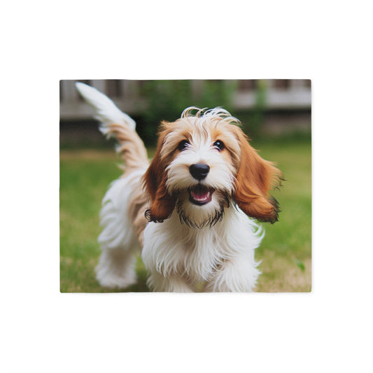 Petit Basset Griffon Vendeen Sweatshirt Blanket
