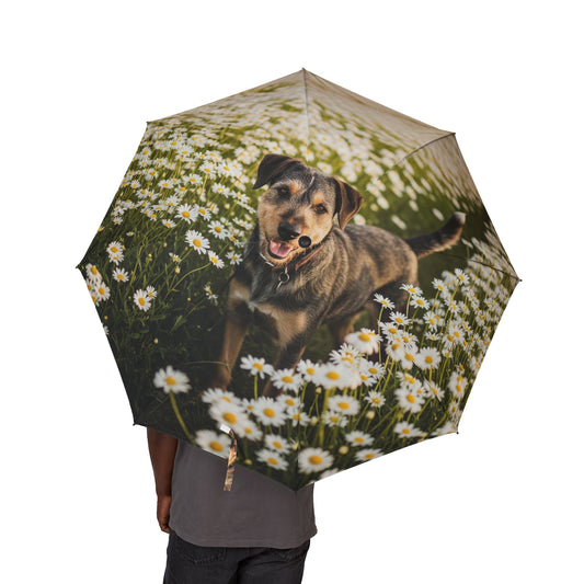 Danish-Swedish Farmdog Semi-Automatic Foldable Umbrella
