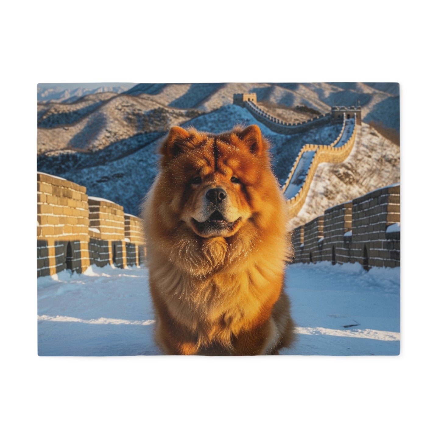 Chow Chow Blanket