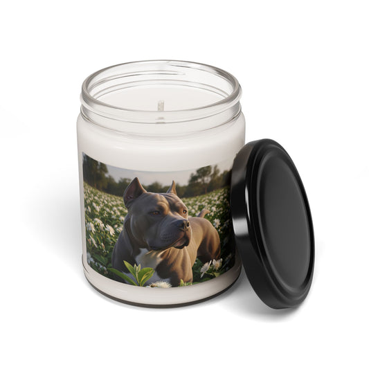 Bully Kutta- Scented Soy Candle, 9oz