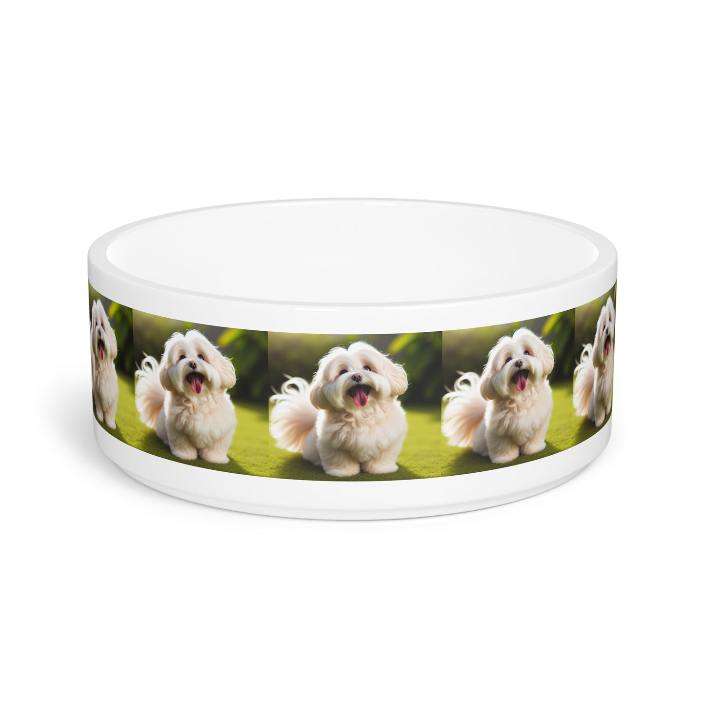 Havanese Pet Bowl