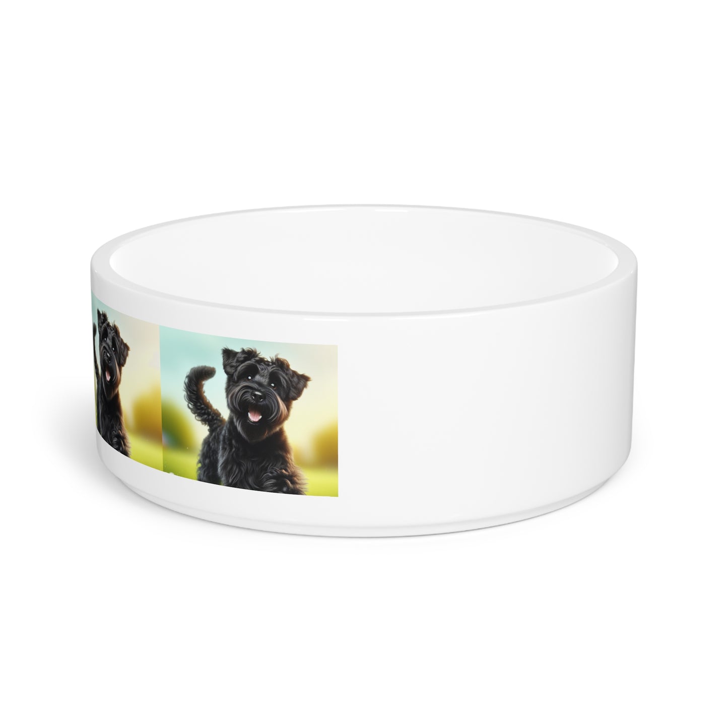 Russian Black Terrier Pet Bowl