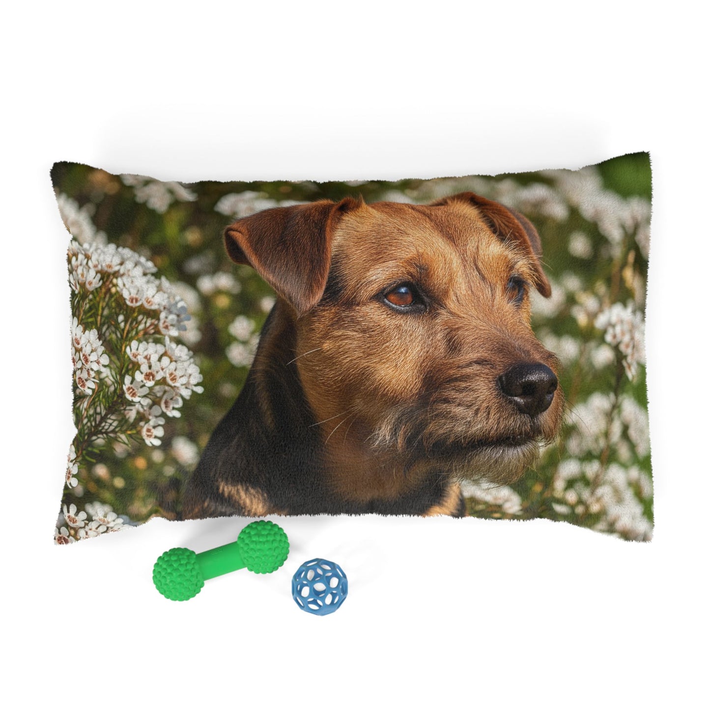 Tenterfield Terrier Pet Bed