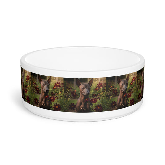 Xoloitzcuintli Pet Bowl