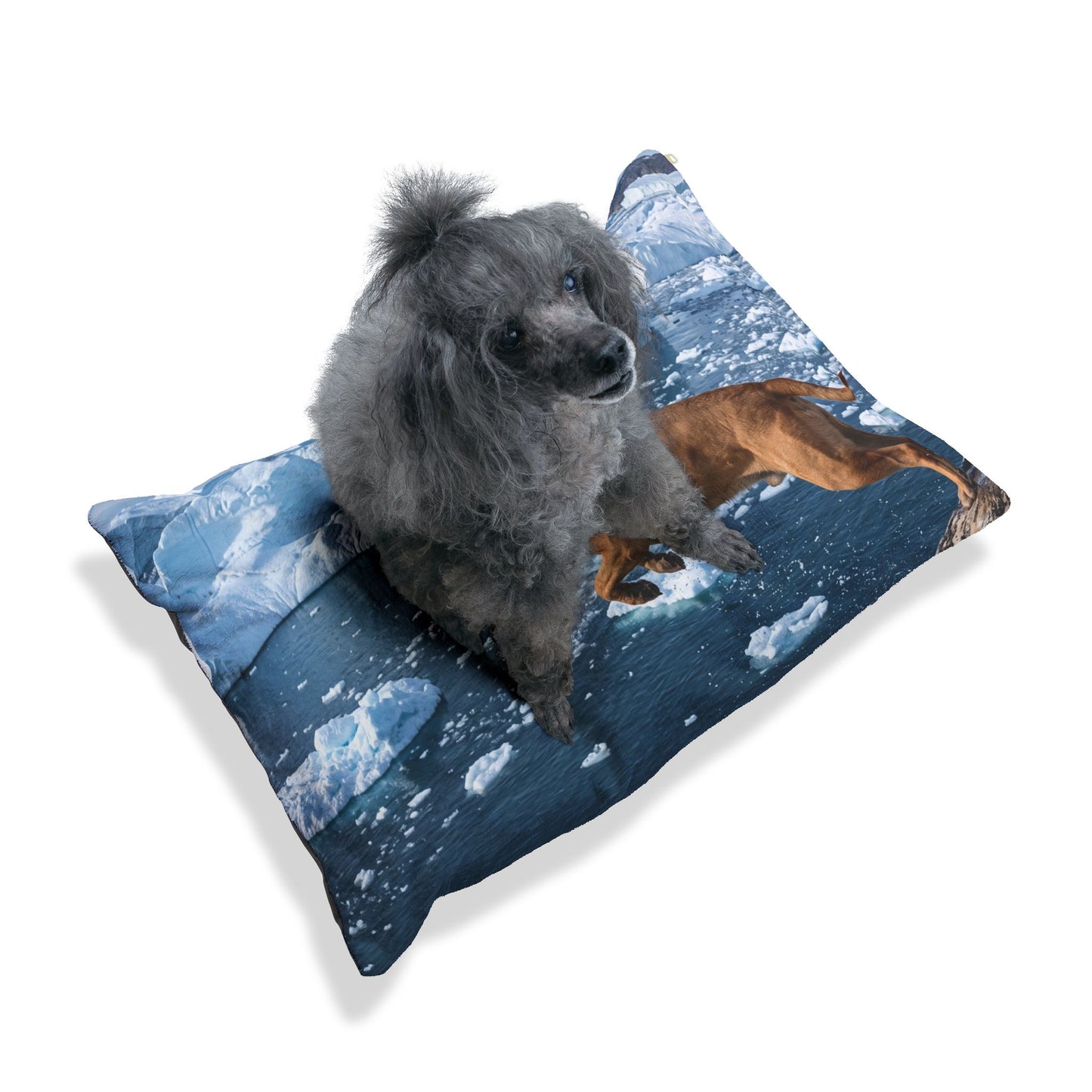 Broholmer Pet Bed