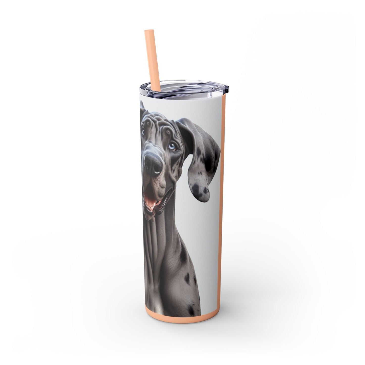 Great Dane Tumbler with Straw, 20oz