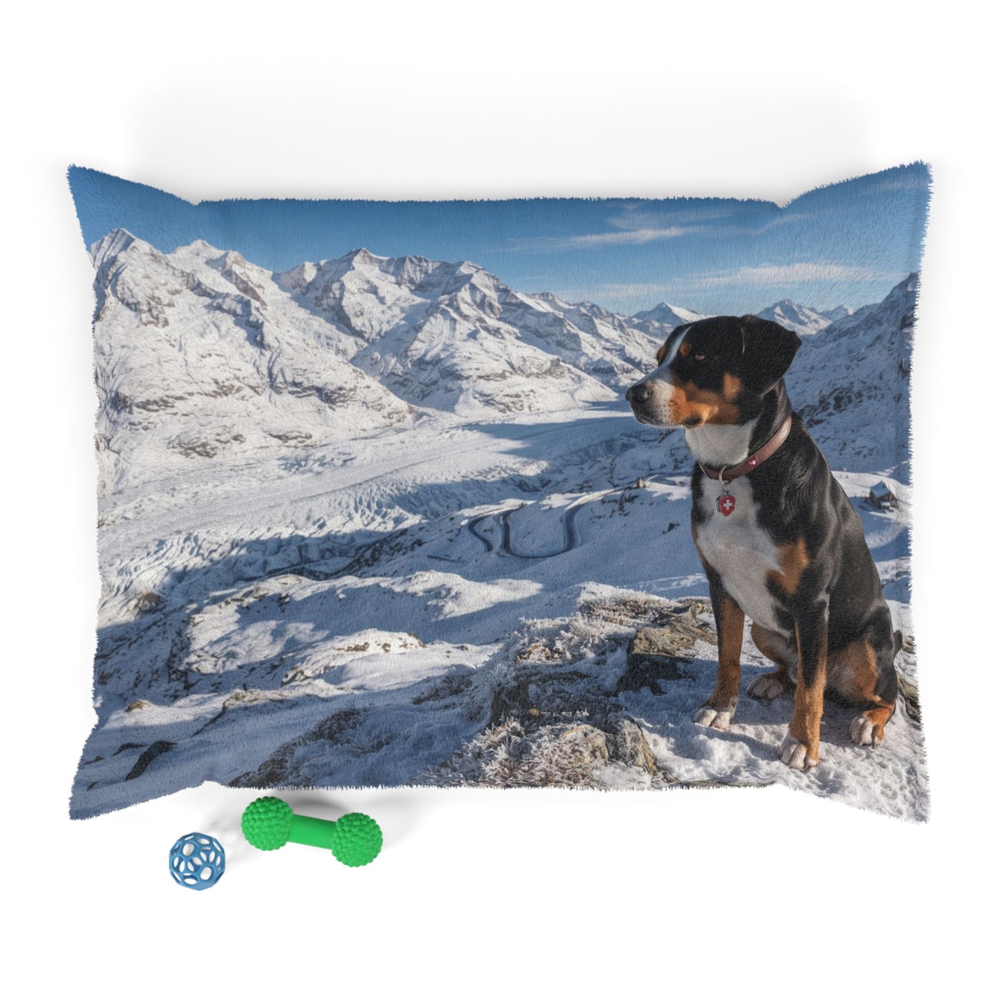 Entlebucher Mountain Dog Pet Bed