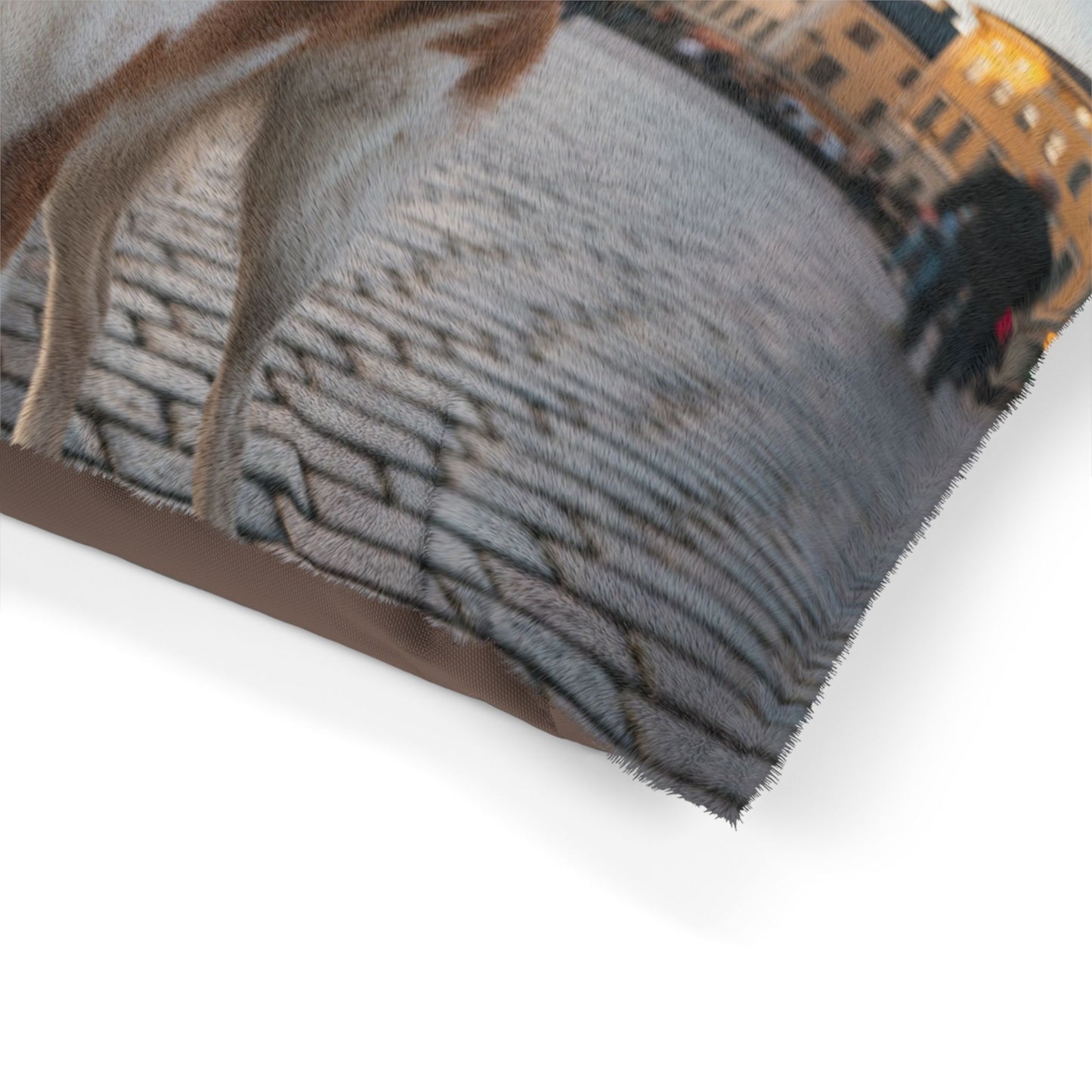 Norrbottenspets Pet Bed