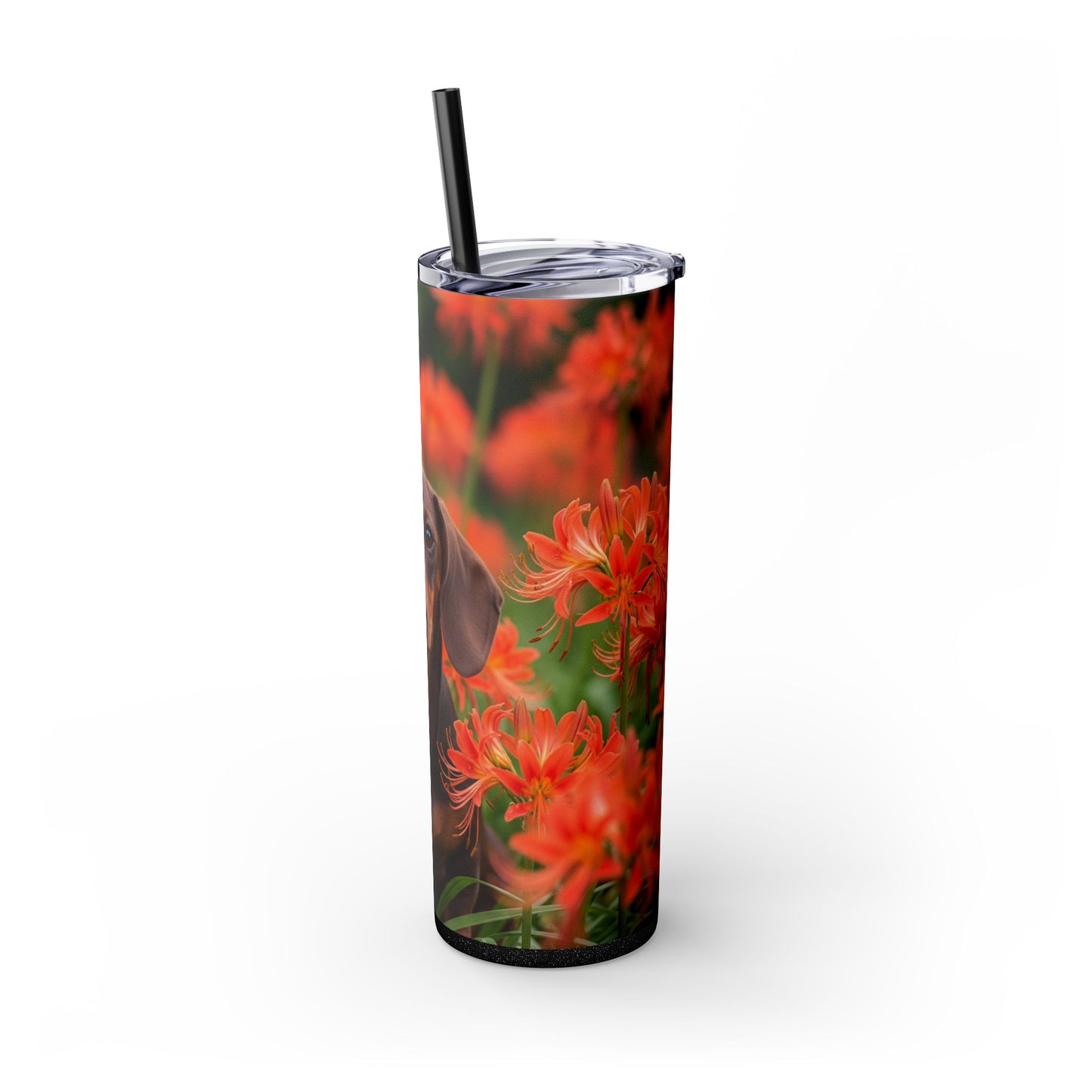 Gobelet isotherme Teckel avec paille, 590 ml
