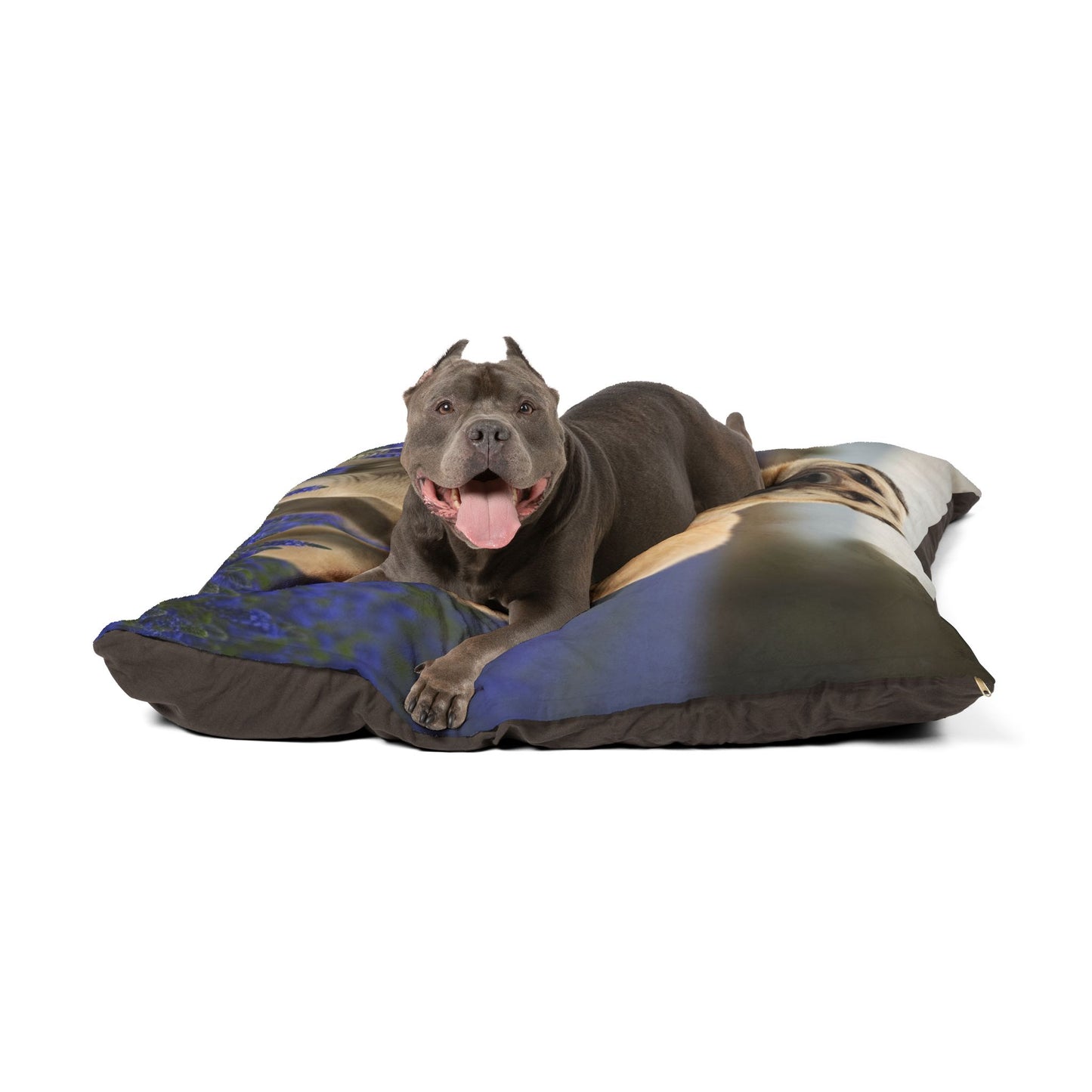 Kangal Shepherd Dog Pet Bed