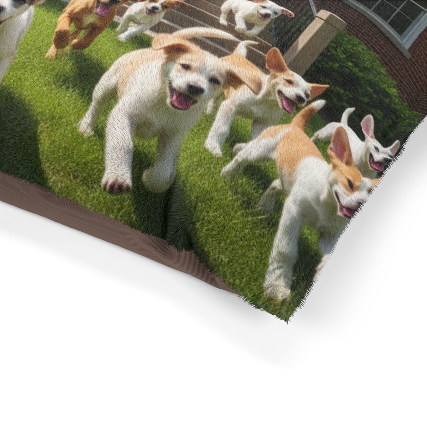 Puppies Start of Summer Vacation Pet Bed