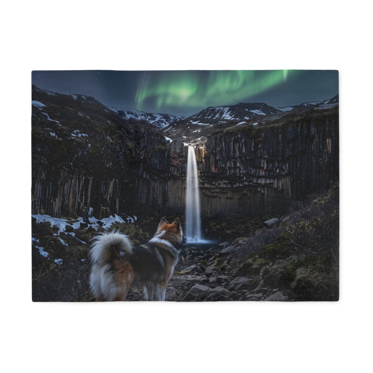 Icelandic Sheepdog Blanket