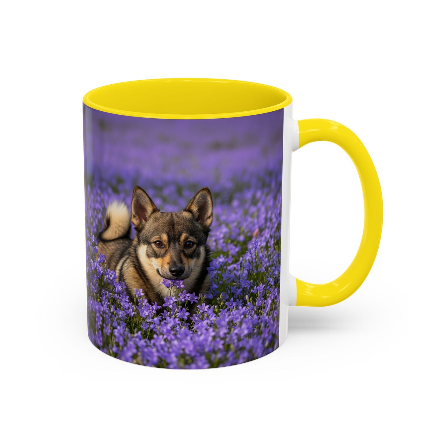 Swedish Vallhund Accent Coffee Mug - Perfect Gift for Dog Lovers