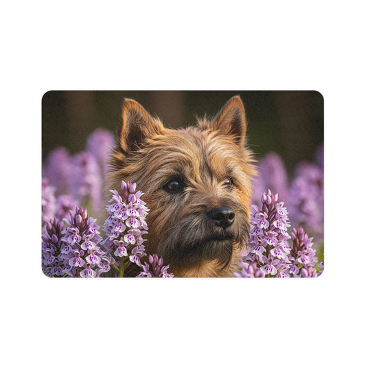 Pet Food Mat (12x18) - Cairn Terrier