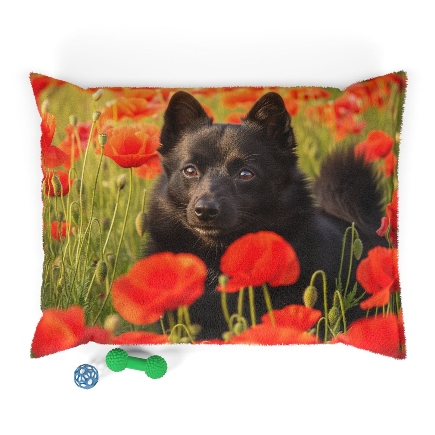 Lit pour animaux Schipperke