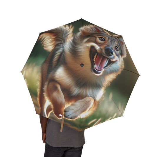 Calupoh Semi-Automatic Foldable Umbrella