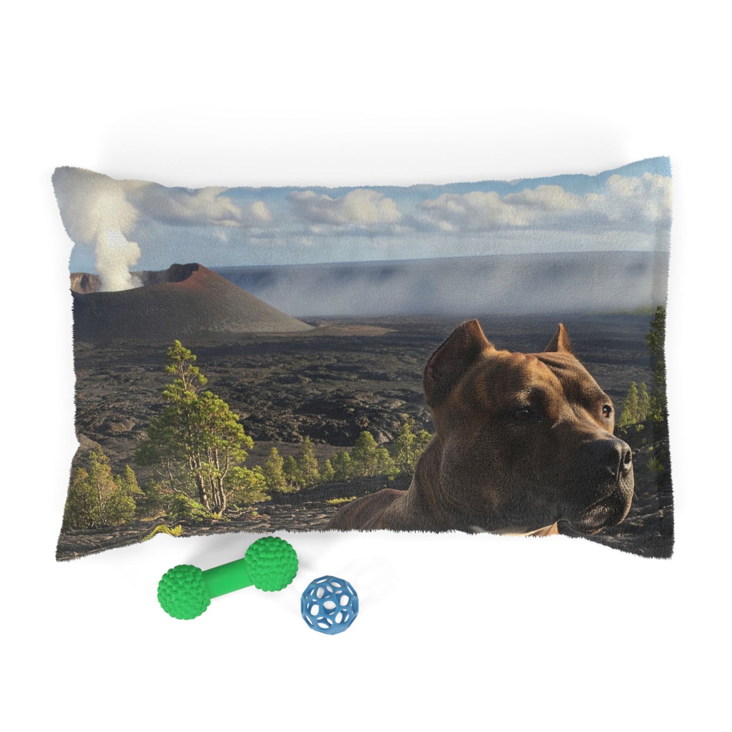 Pit Bull Pet Bed