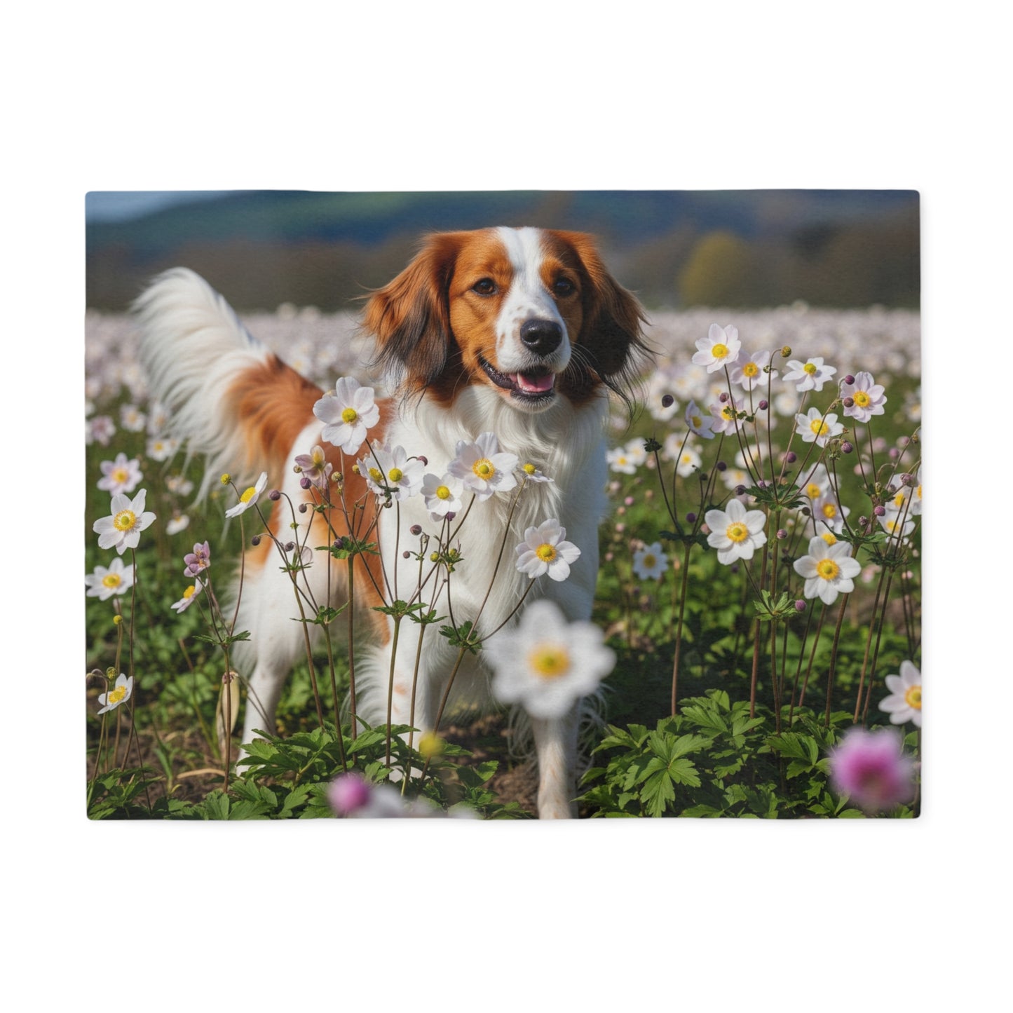 Nederlandse Kooikerhondje Sweatshirt Blanket