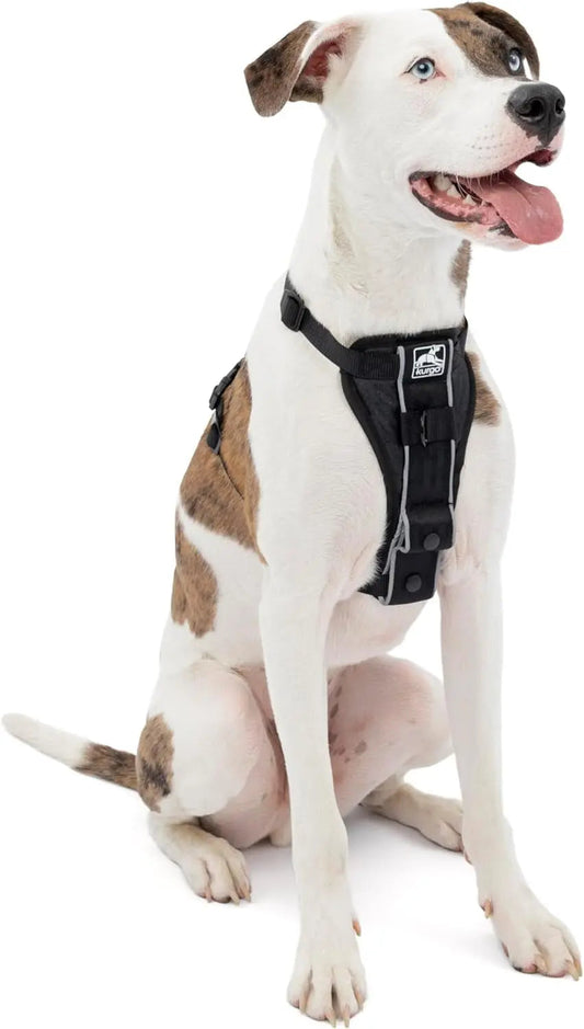 Harnais de promenade intelligent Tru-Fit pour chien - Confortable et ajustable - Éléments réfléchissants - Sangle à dégagement rapide - Accessoire idéal pour les promenades quotidiennes - Boucle de ceinture de sécurité incluse - Noir - Taille moyenne