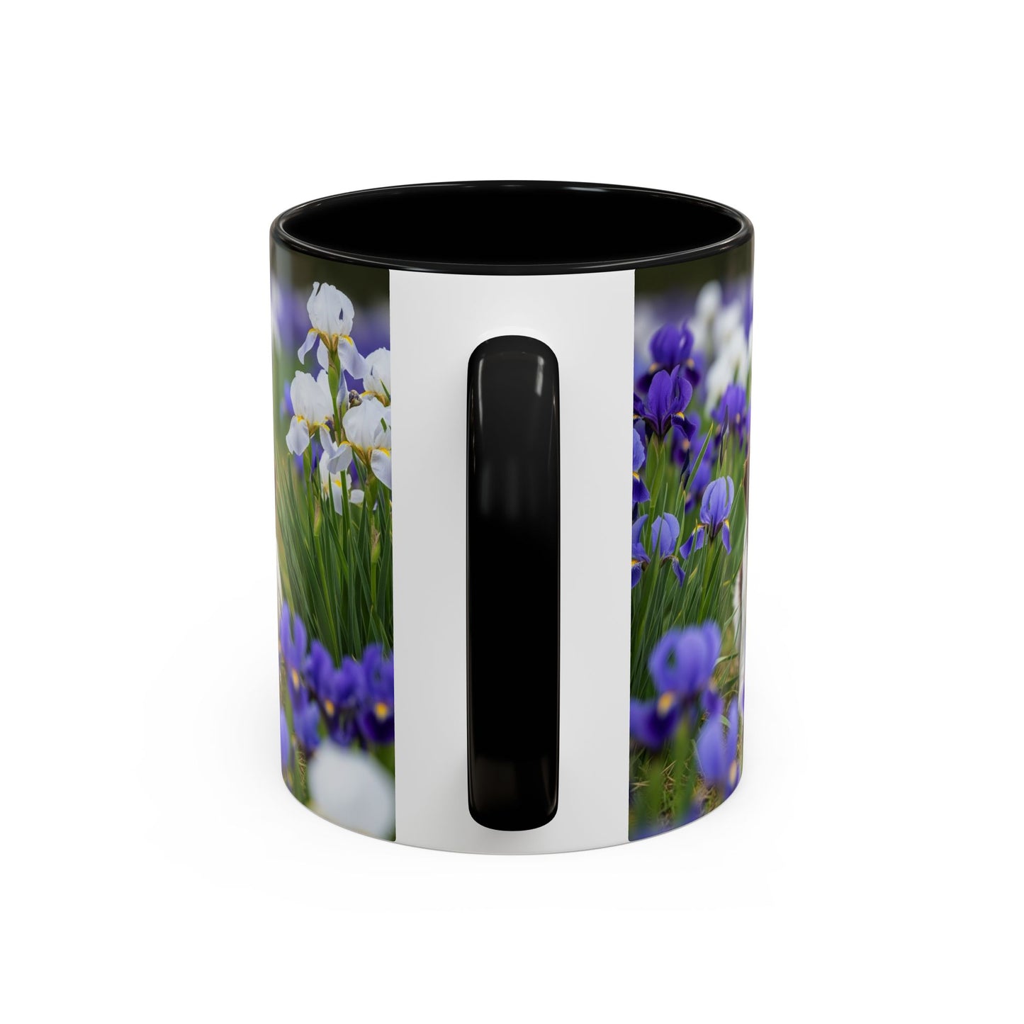 Mug Stabyhouns Accent - Cadeau idéal pour les amoureux des chiens