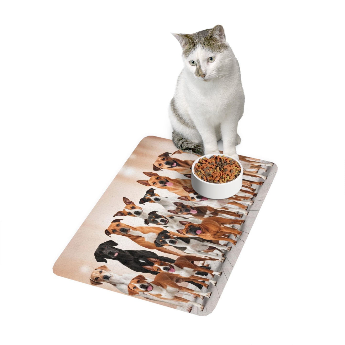 Pet Food Mat (12x18) - Class of Dogs