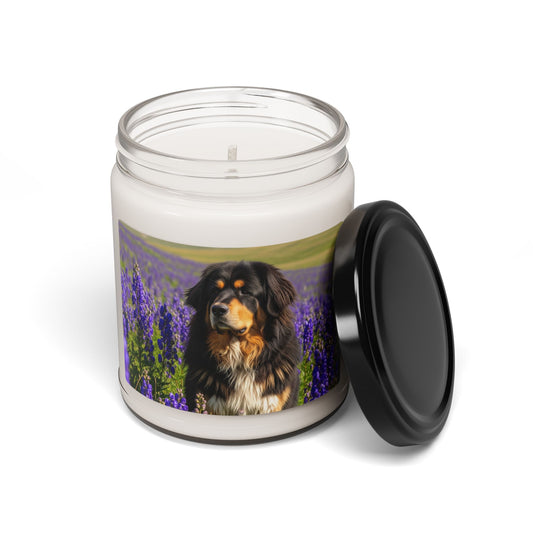 Himalayan Sheepdog- Scented Soy Candle, 9oz