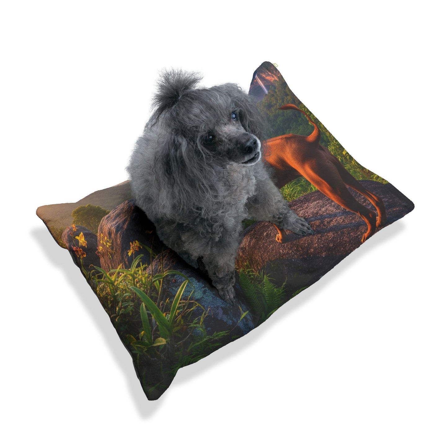Thai Ridgeback Dog Bed