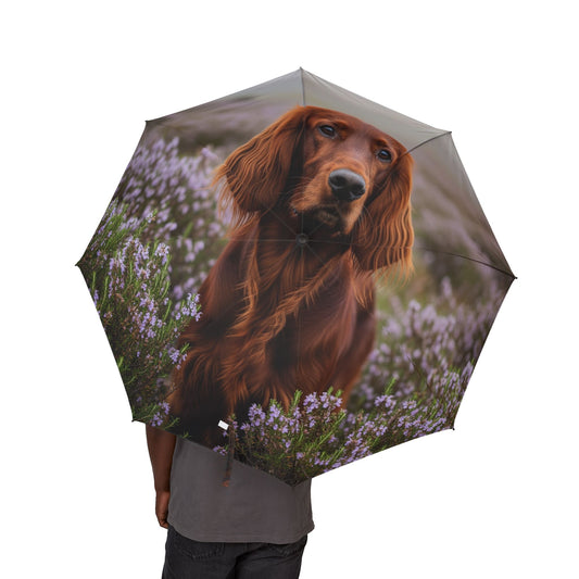 Irish Setter Semi-Automatic Foldable Umbrella