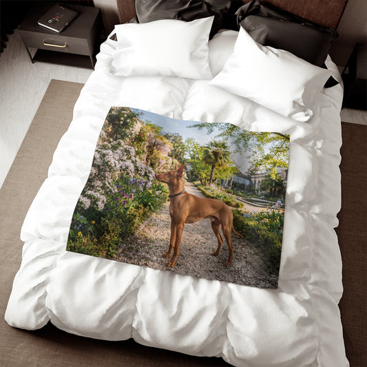 Cirneco dell'Etna Blanket